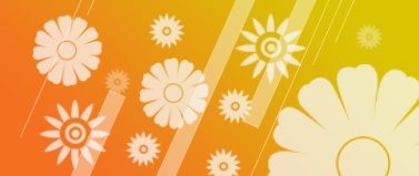 Categoría de producto 